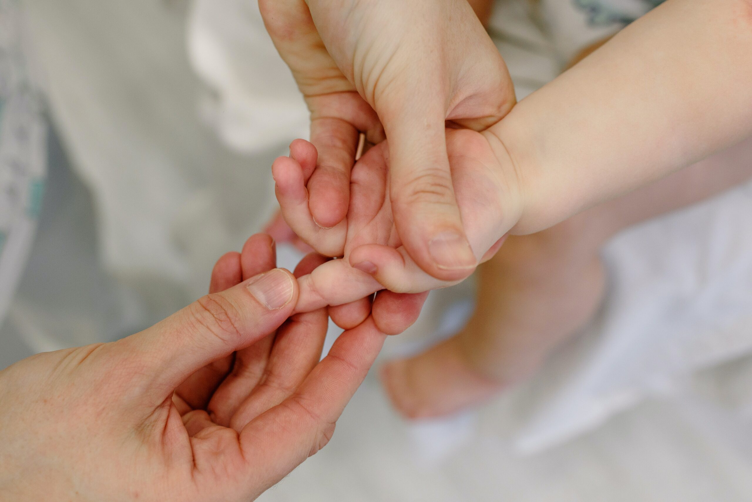 Les petits ateliers d'Emilie